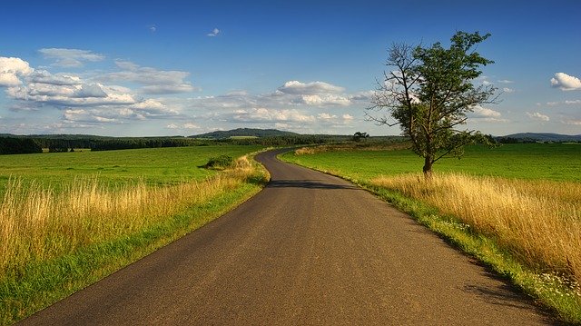 Ochrona fungicydowa rzepaku: co musisz wiedzieć tej wiosny?